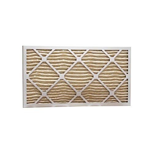 Eco-Aire P15S.011032 MERV 11 Pleated Air Filter  10 x 32 x 1" - B01138RT2Y